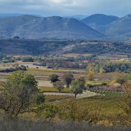 Le Marronnier