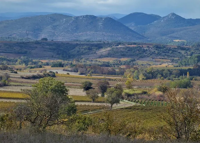 Le Marronnier